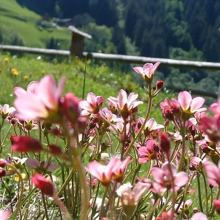 Lacklhof Διαμέρισμα Großkirchheim