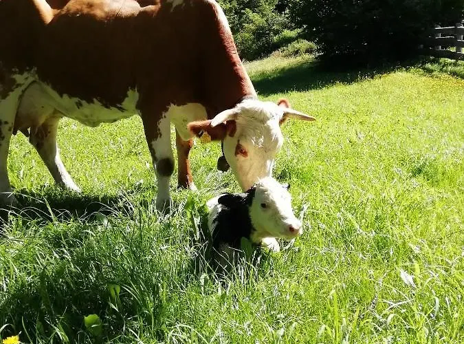 Lacklhof Διαμέρισμα