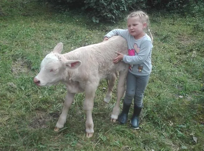 Διαμέρισμα Lacklhof Großkirchheim