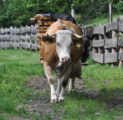 Διαμέρισμα Lacklhof Großkirchheim