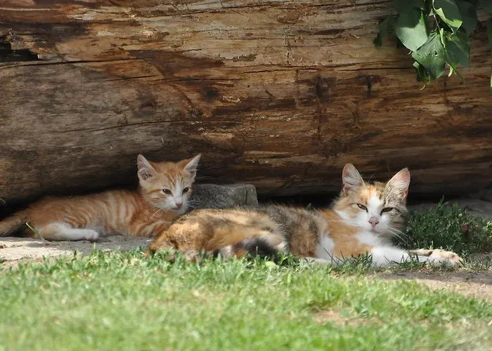 Διαμέρισμα Lacklhof