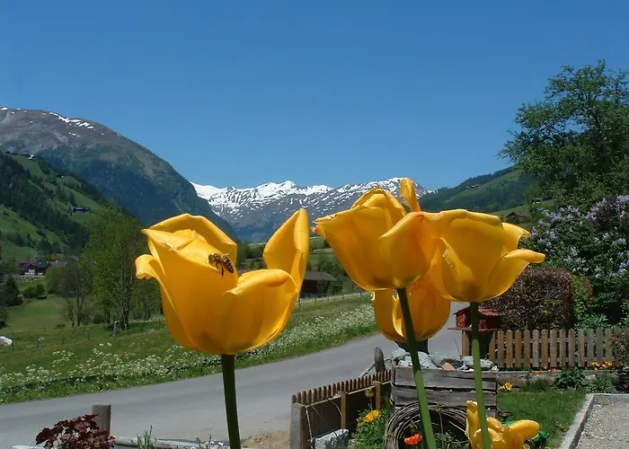 Lacklhof Apartament Großkirchheim
