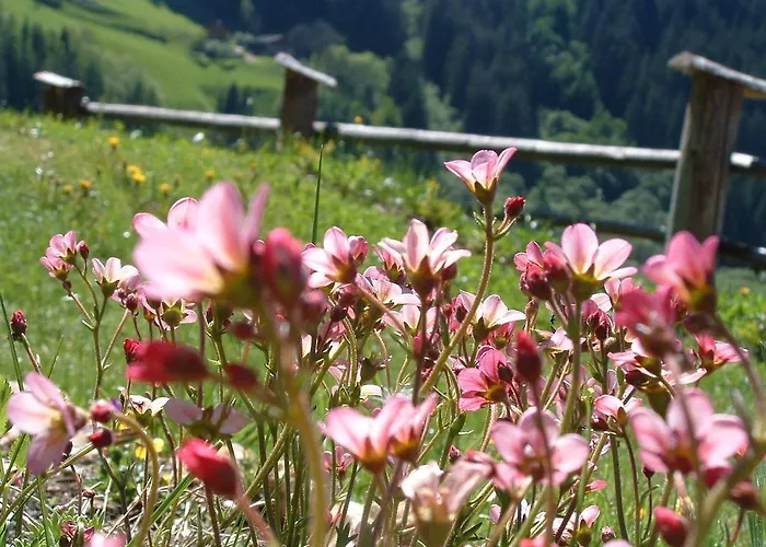 Lacklhof דירה Großkirchheim